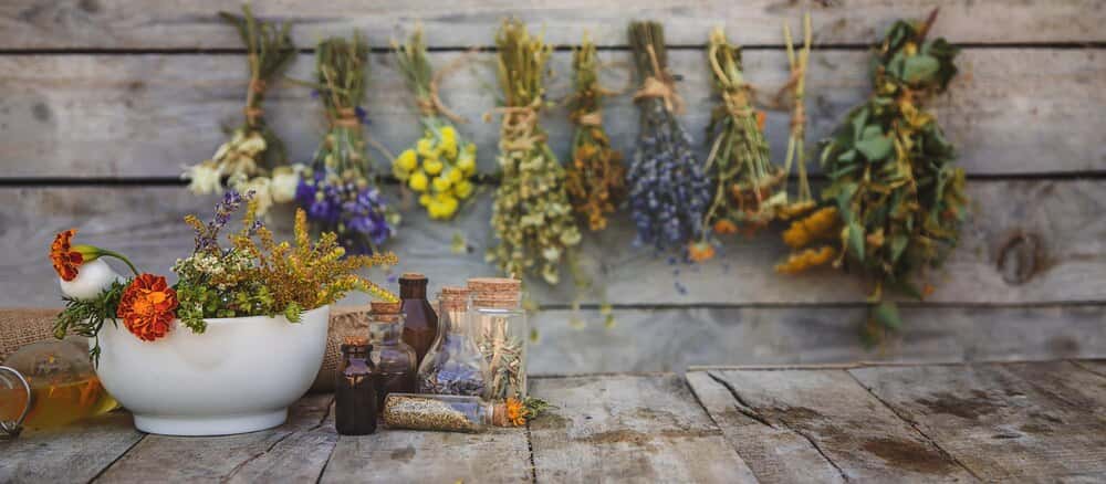 Taller: Herbario natural y elaboración de pomada Sanjuanera