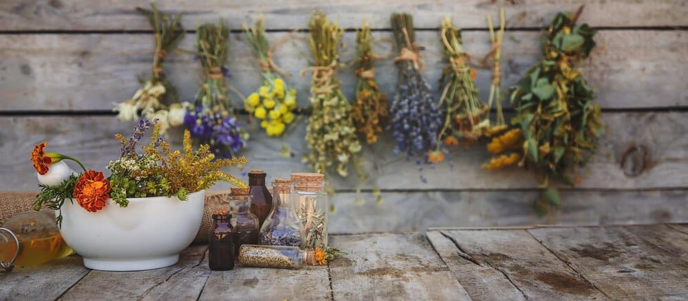 Taller: Herbario natural y elaboración de pomada Sanjuanera