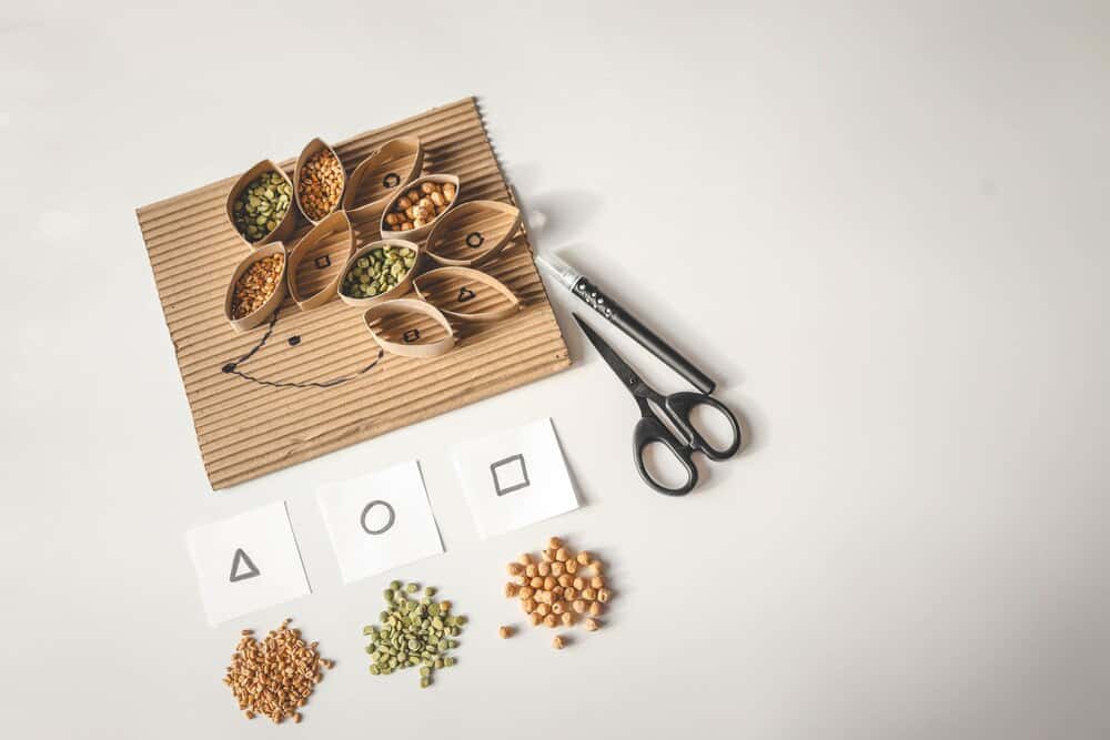 ¿Cómo se dispersan las semillas?