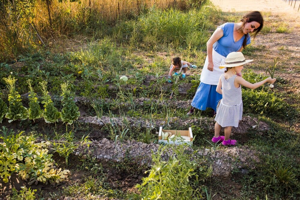 Semana de la Huerta: más de 50 planes del 3 al 11 de octubre