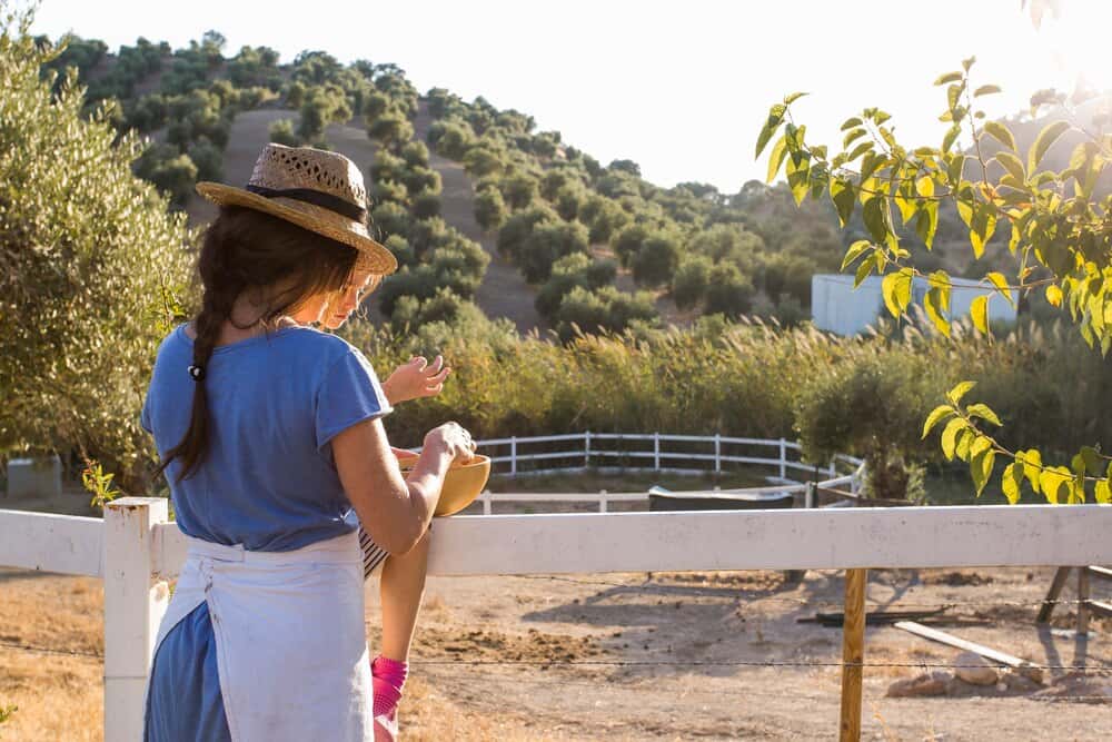 Escapada a Sóller: guía para la Fira de la Taronja 2026