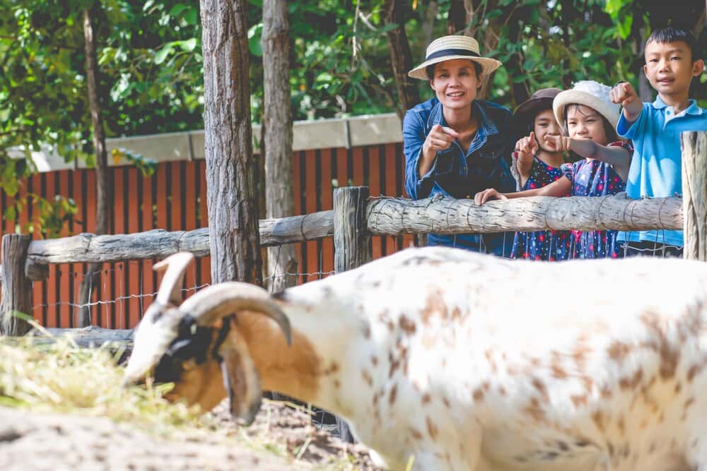 30 años de la Granja Escuela Belelle: guía para familias