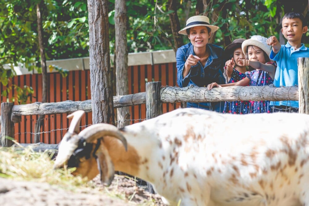 30 años de la Granja Escuela Belelle: guía para familias