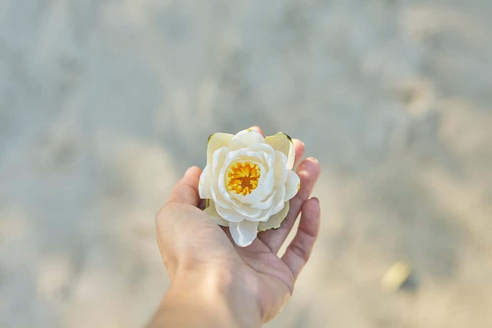 Taller de Oncoestética