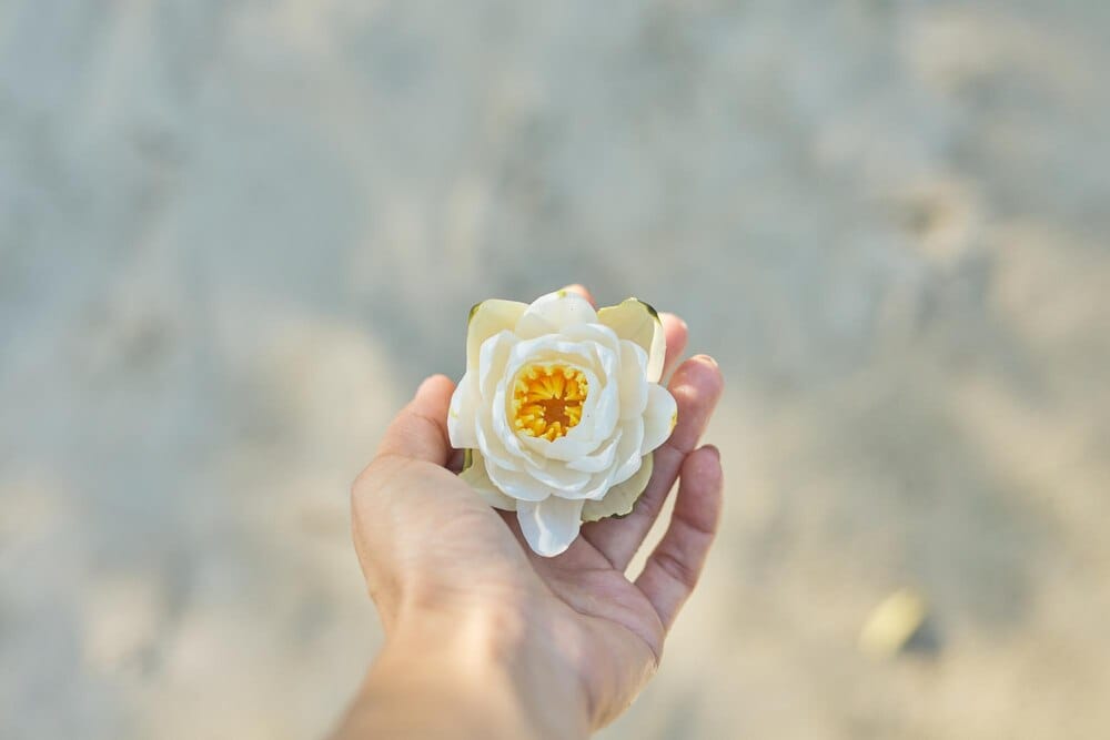 Taller de Oncoestética