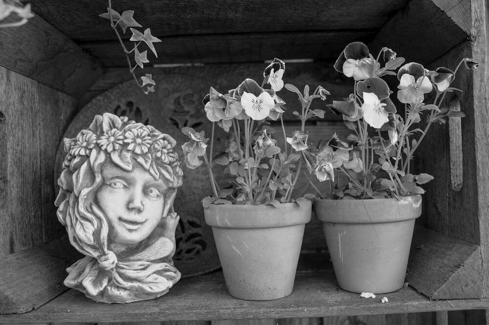 Don Florencio Valdés y Menéndez: Gijón/Xixón desde La Isla