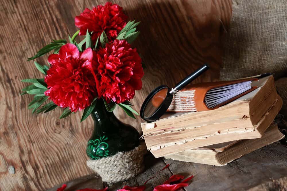 Presentaci贸n del libro 'De aquellas mujeres, nosotras. Poemas de memoria y derrota'