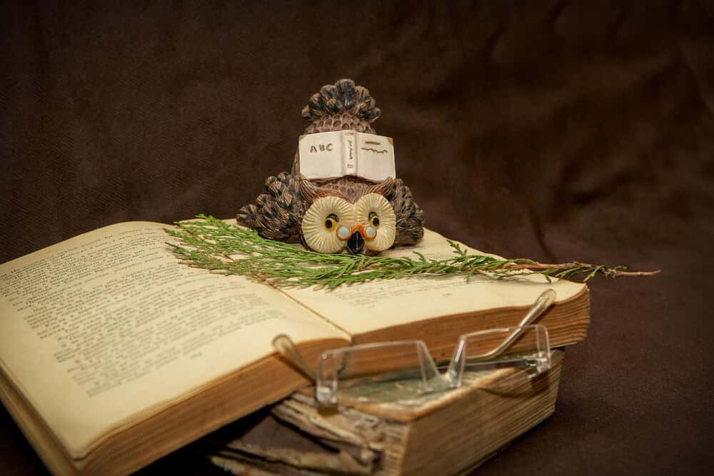 Los Miércoles de La Serena: Mesa redonda sobre el poder transformador de la lectura