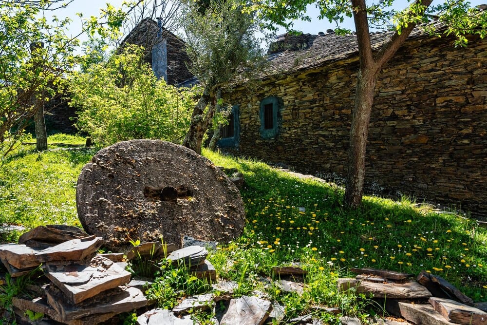 Territorio, a Galiza rural e as loitas que a manteñen viva