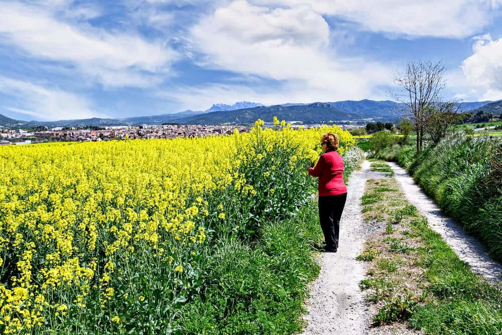 Rutas de primavera por Lugo desde Betanzos