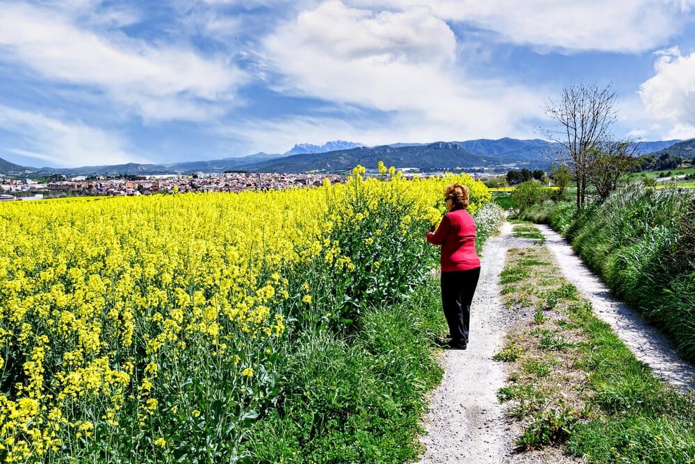 Rutas de primavera por Lugo desde Betanzos