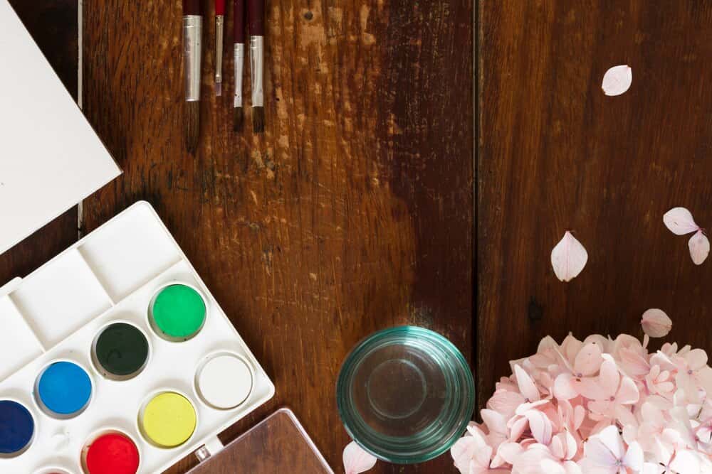 Dibuix: Experimenta amb aquarel·la