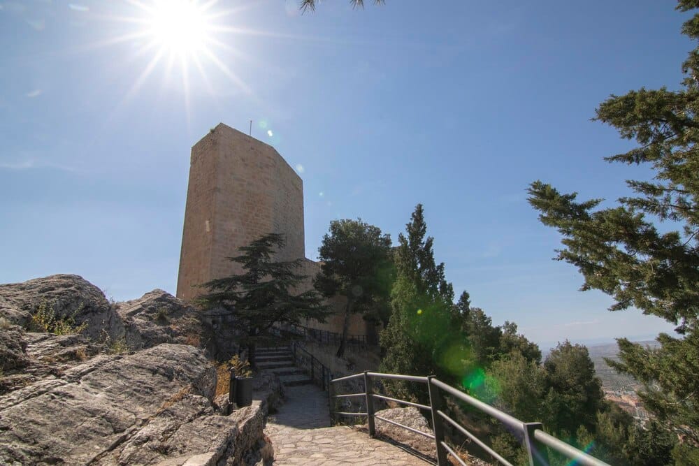 El Cerro de los Infantes: historia al aire libre