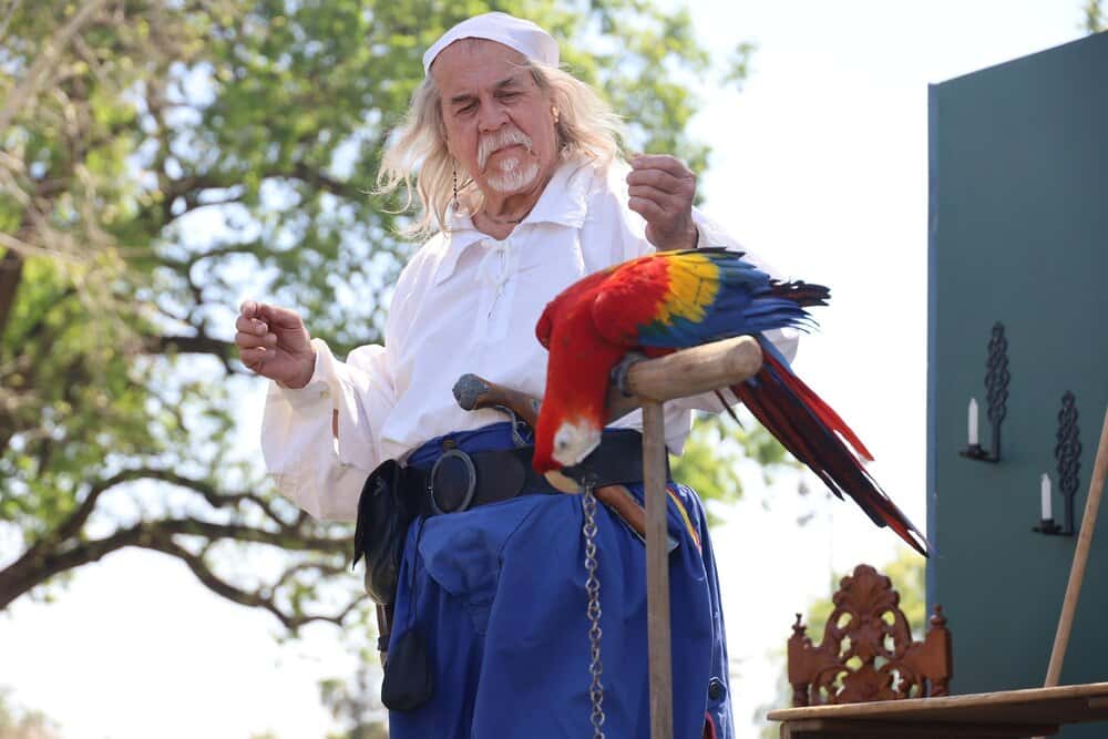 El Desfile del Pájaro: la tradición más curiosa de Orihuela
