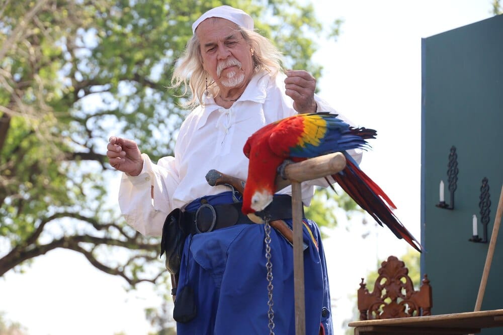 El Desfile del Pájaro: la tradición más curiosa de Orihuela
