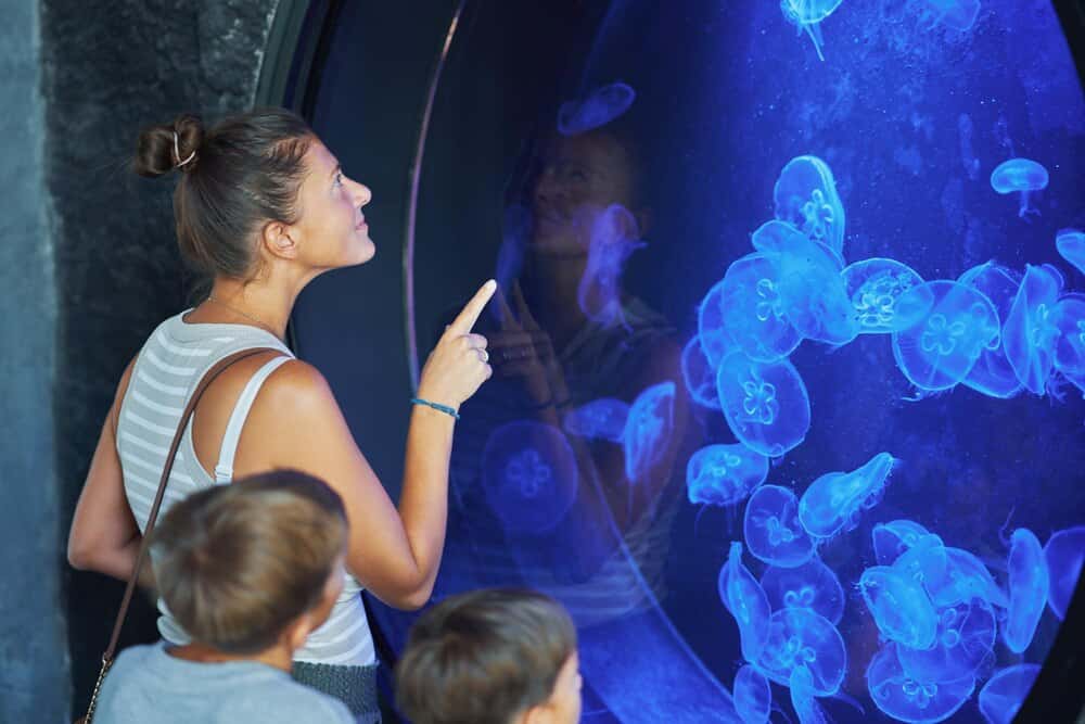 El Mar Menor llega al Museo de la Ciencia y el Agua
