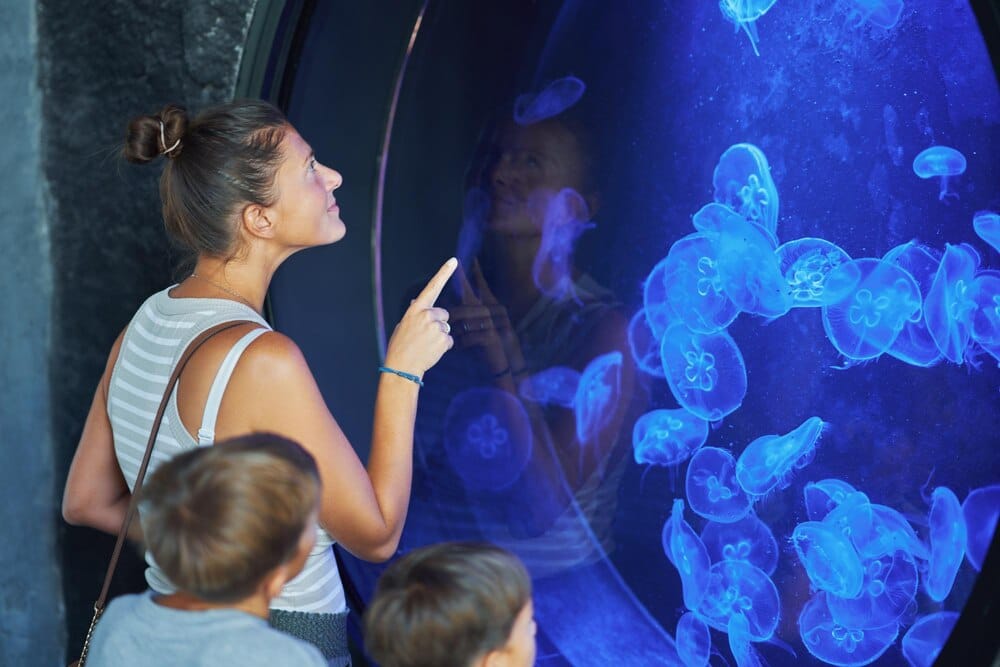 El Mar Menor llega al Museo de la Ciencia y el Agua