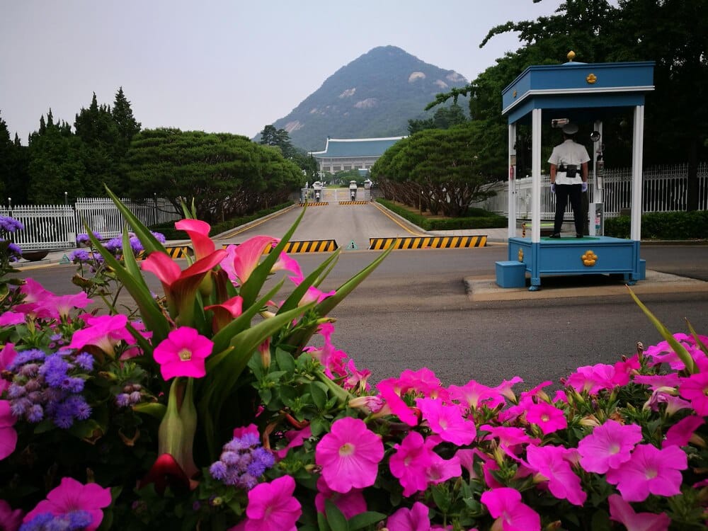 Ruta de la camelia en Vedra: planes entre pazos y flores