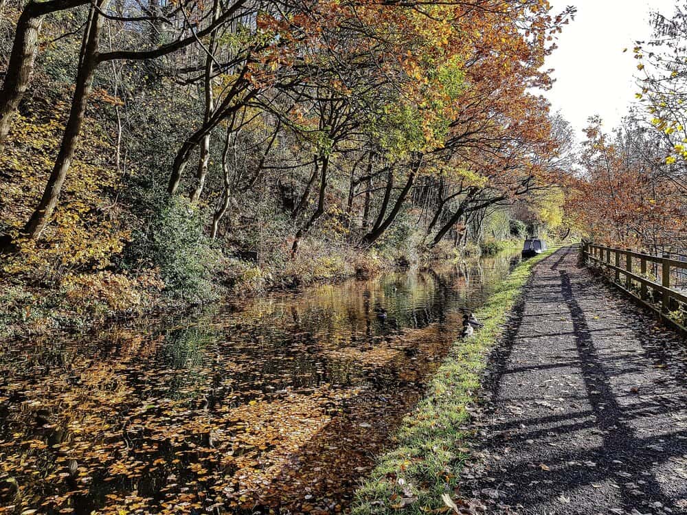 Autumn in the South Downs: walks and photo spots