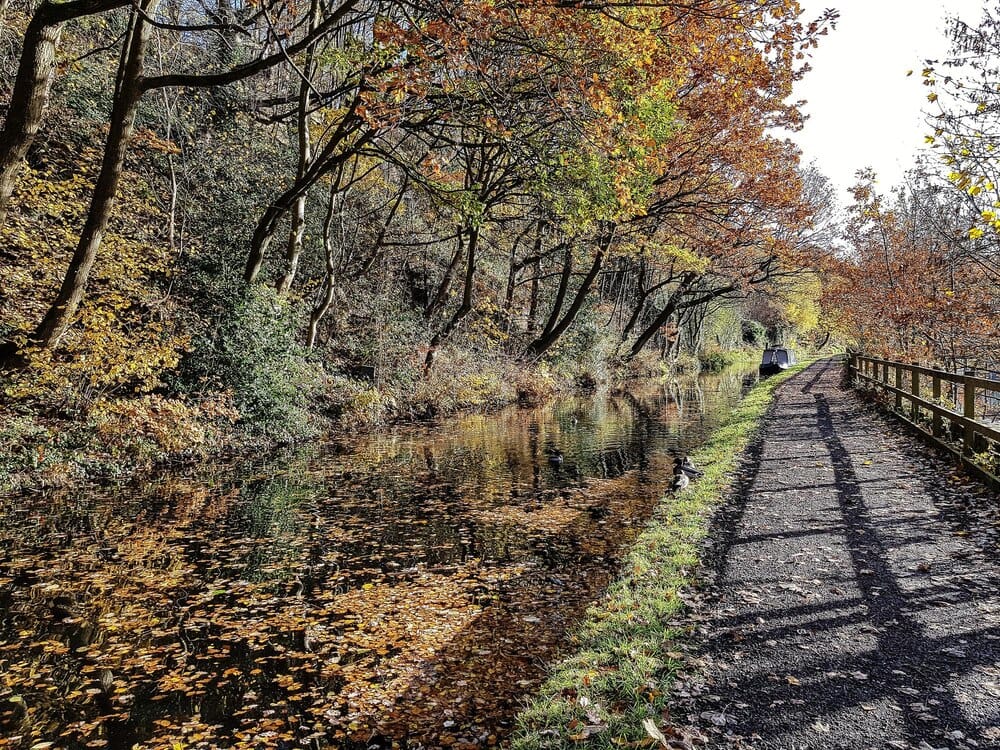 Autumn in the South Downs: walks and photo spots