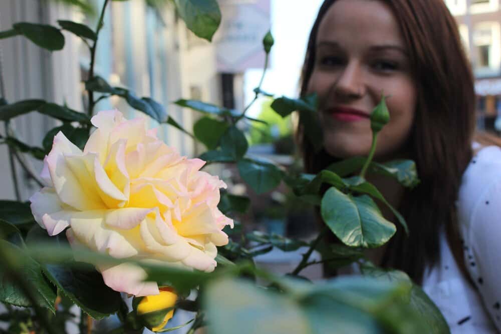 Dos Gardenias: comer bien y barato en Cornellà