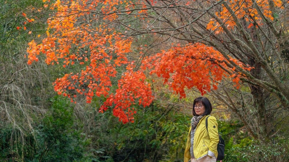 El otoño cultural de Narón: Sánchez-Gijón y Galiana