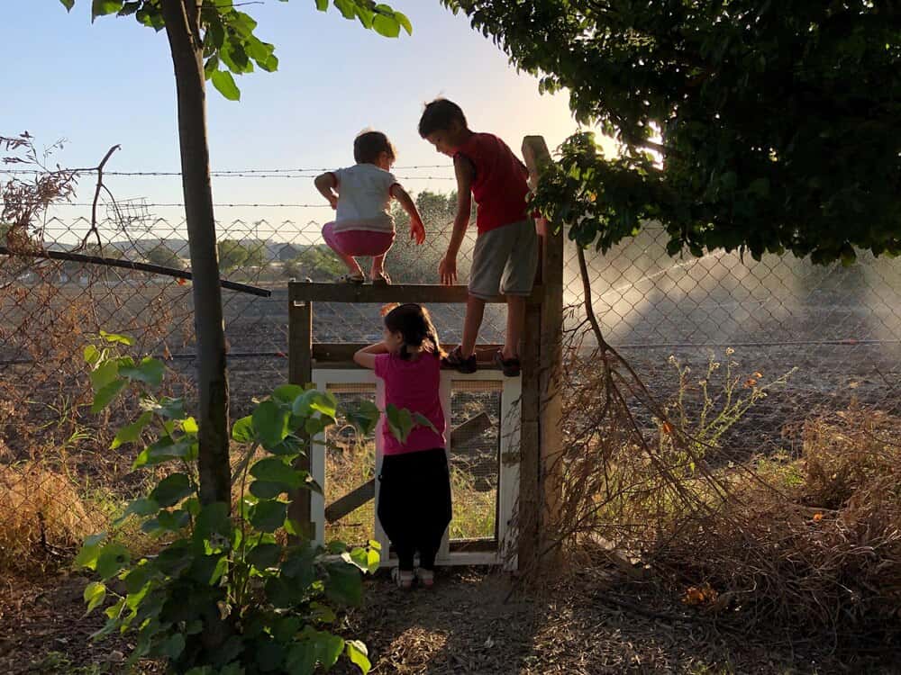Visitas guiadas gratuitas en la Finca de Areeiro