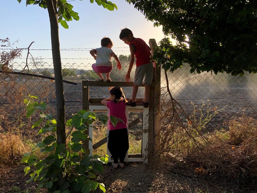 Visitas guiadas gratuitas en la Finca de Areeiro