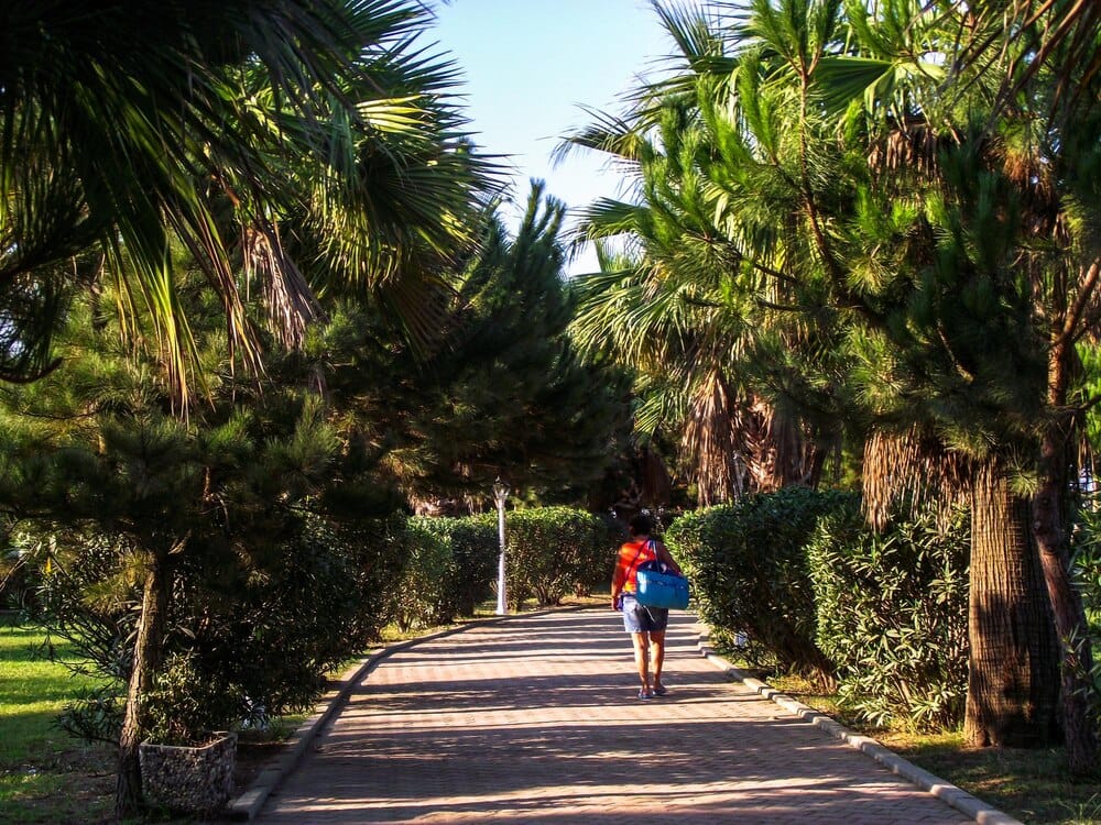El Jardín Viera y Clavijo recupera su recorrido circular