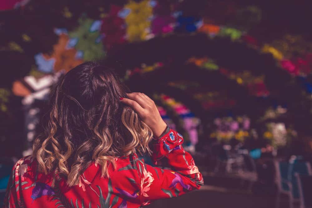 Feria de San Miguel 2026: cartel, conciertos y horarios