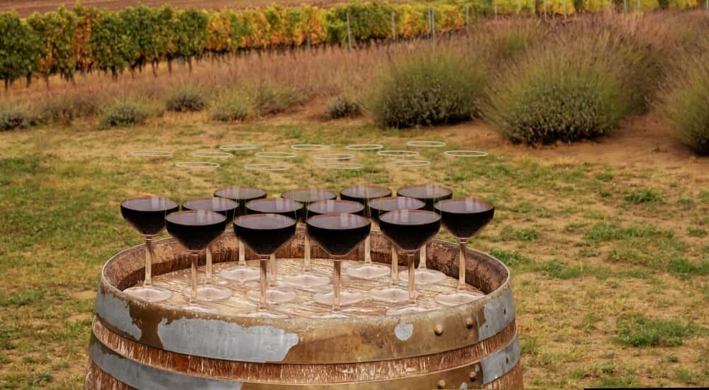 Festival de la Sidra Natural