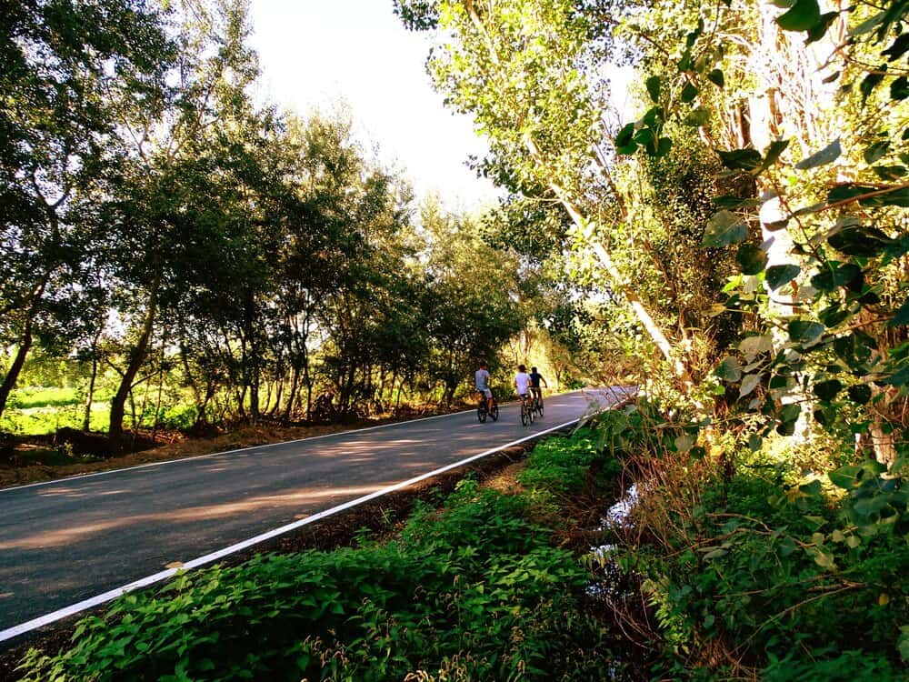 Rutas verdes entre Boadilla, Pozuelo y Majadahonda