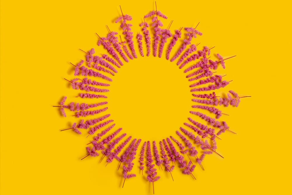 Día de la Mujer trabajadora