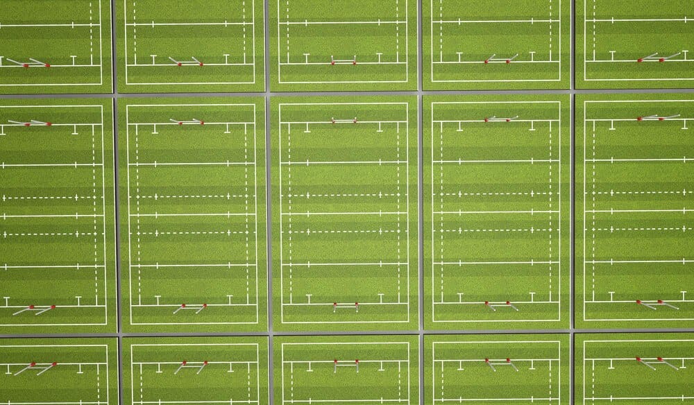 Torneo de escuelas de rugby