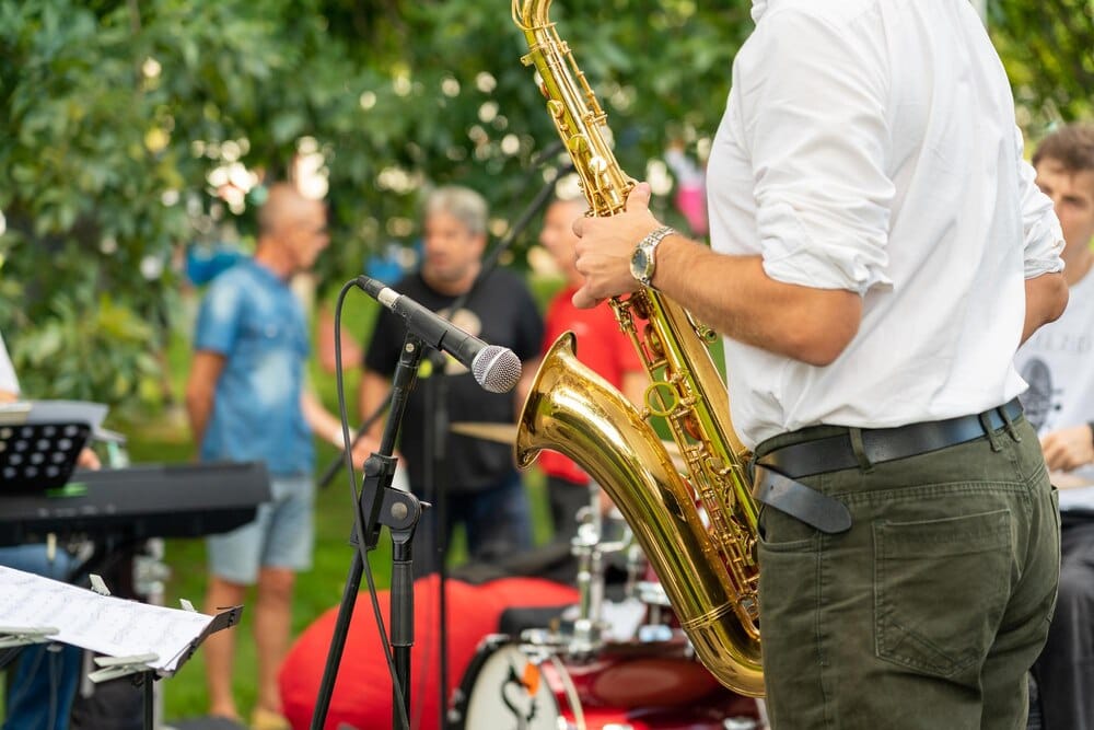 Sussex Woodland and Jazz Festivals for Summer 2026