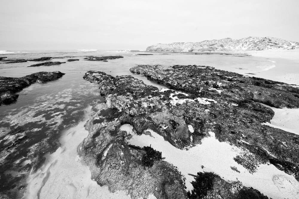 Formenlàndia: Formentera e Islandia en blanco y negro