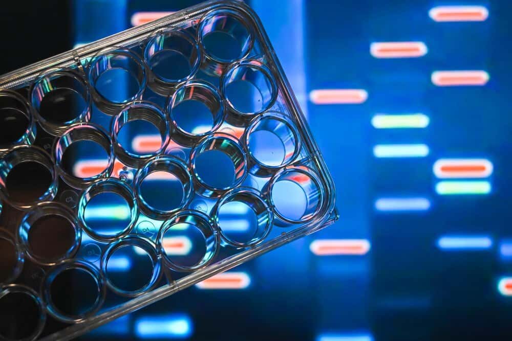 La era de los materiales que piensan