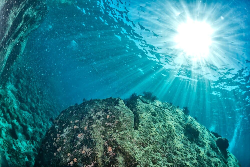 Bautismo de buceo en Formar Buceo