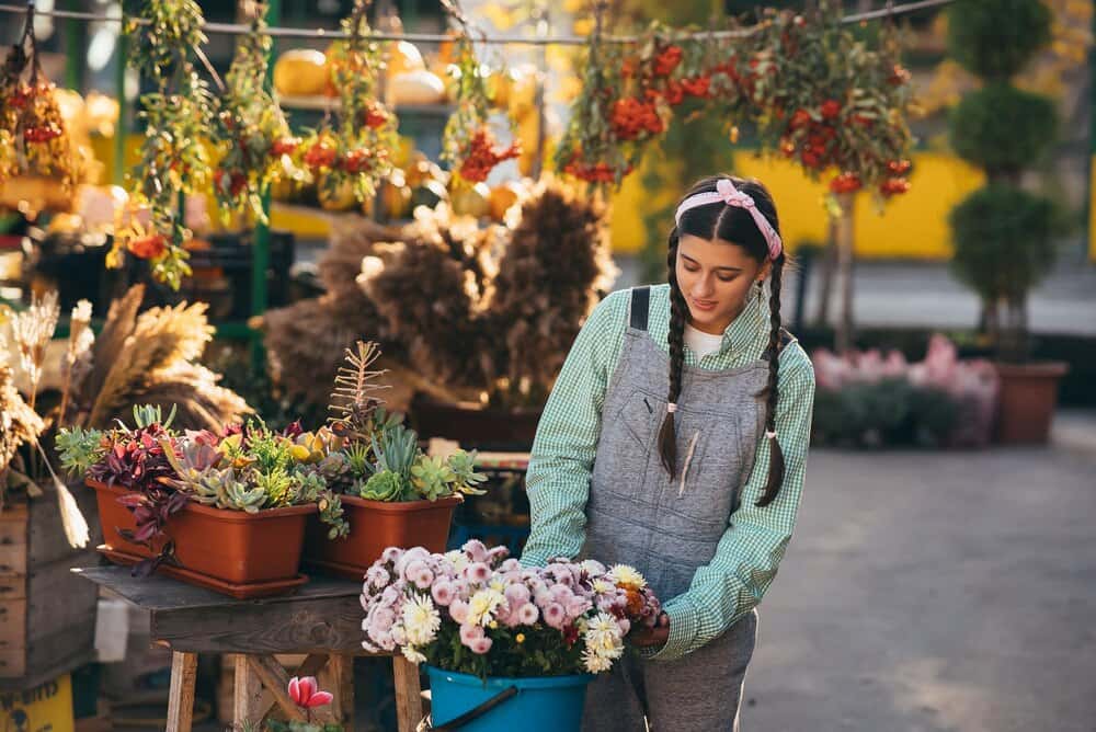 Plant Sale and Autumn Fayre