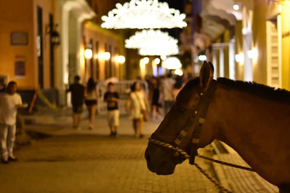Espectáculo ecuestre Compás a caballo