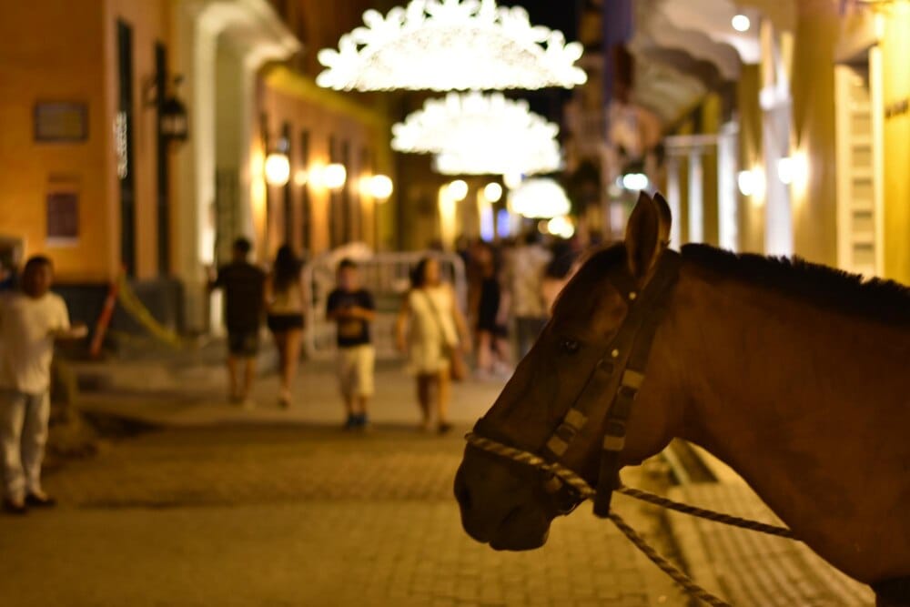 Espectáculo ecuestre Compás a caballo