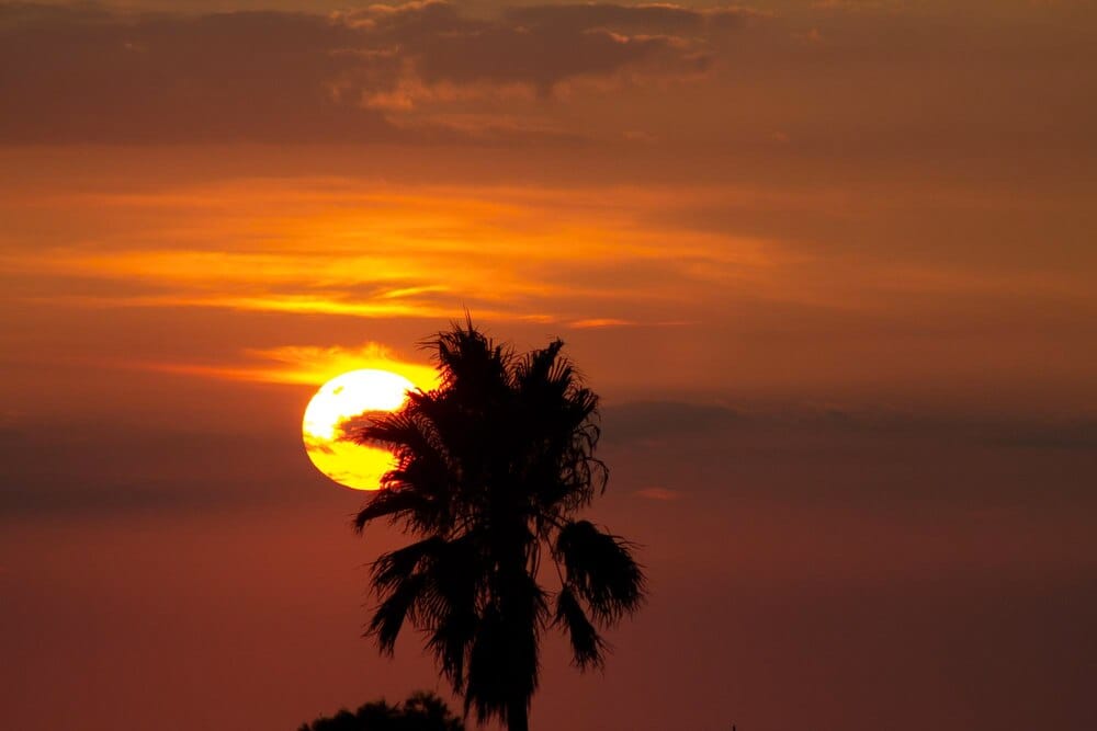 Eclipse solar del 12 de agosto: dónde verlo en Canarias