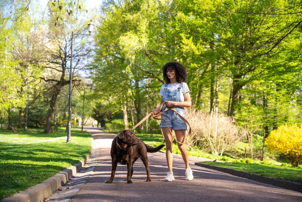 Dog-Friendly Austin: Best Off-Leash Parks and Pet Spots