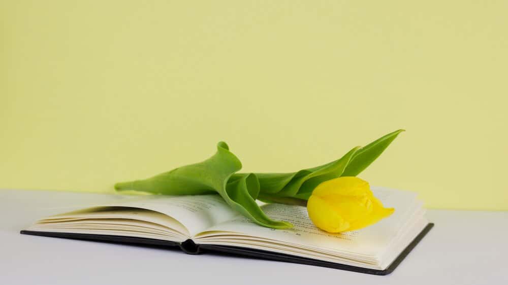 Presentaci贸n del libro 'La locura del progreso' de Josep Maria Pan茅s