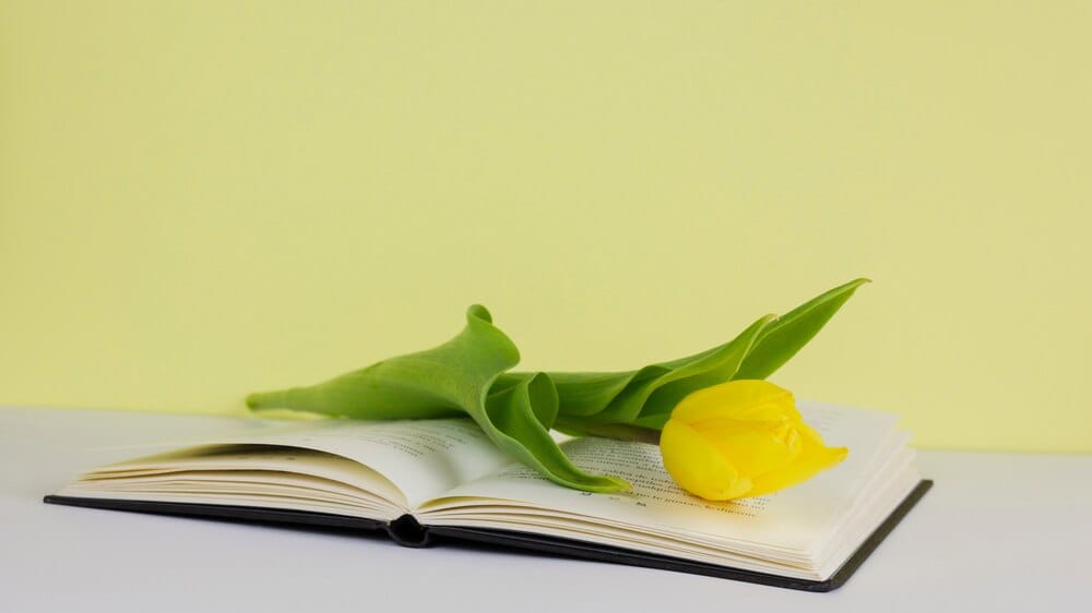 Presentación del libro 'La locura del progreso' de Josep Maria Panés