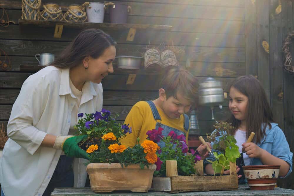 Horta e flores no balcón