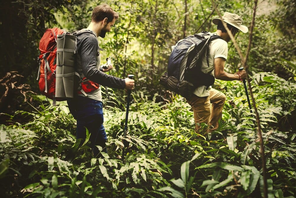 Roteiro Ambiental. Como iniciarse na natureza
