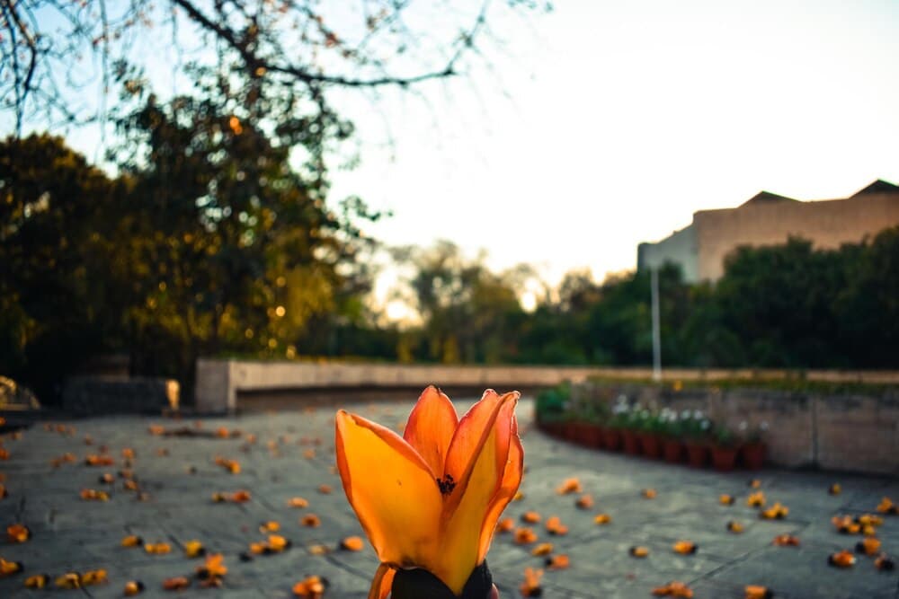 Momentos Alhambra Acustiquísimos 2025: El Otoño Suena en A Coruña