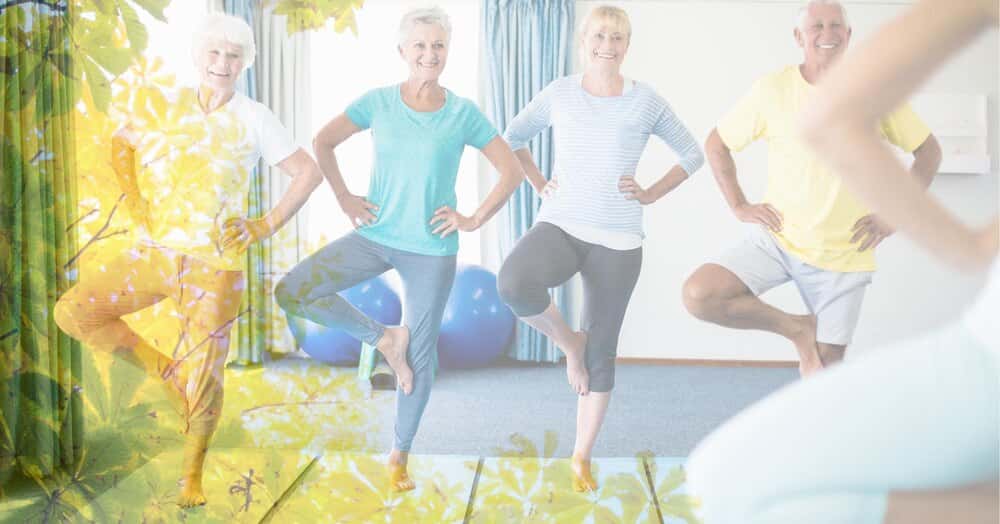 Gimnasia de Mantenimiento - Wellness