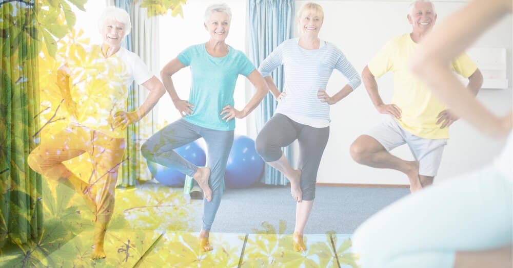 Gimnasia de Mantenimiento - Wellness